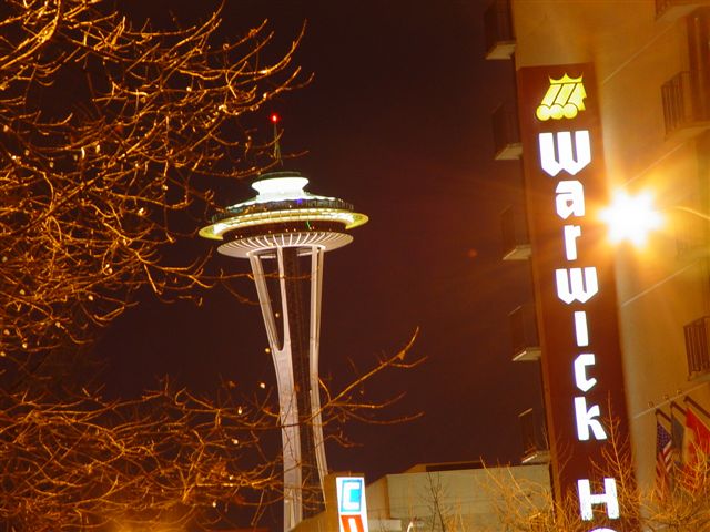 the world from space at night. Space needle at night